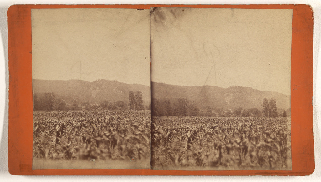 Unknown:[Pictatrinny Mt.], Poster Print Wall Art