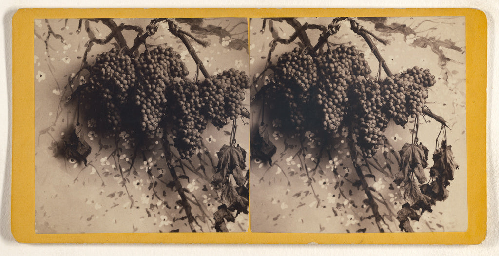 Unknown:[Mission Grapes, 1 Cluster 12 lbs.], Poster Print Wall Art