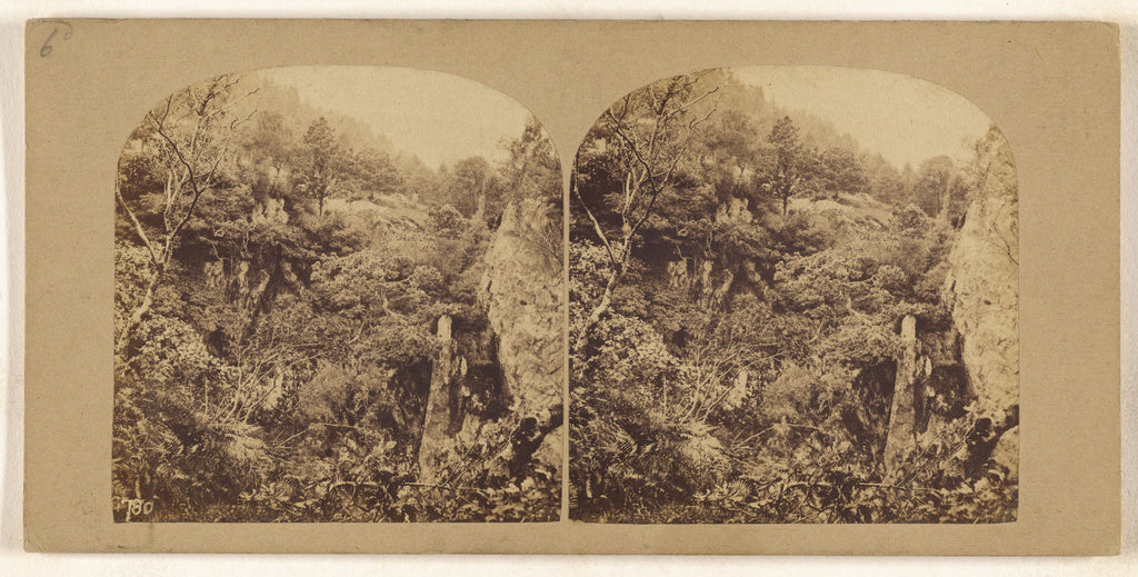 Unknown maker, British:[Forest Scene in the British Isles], Poster Print Wall Art