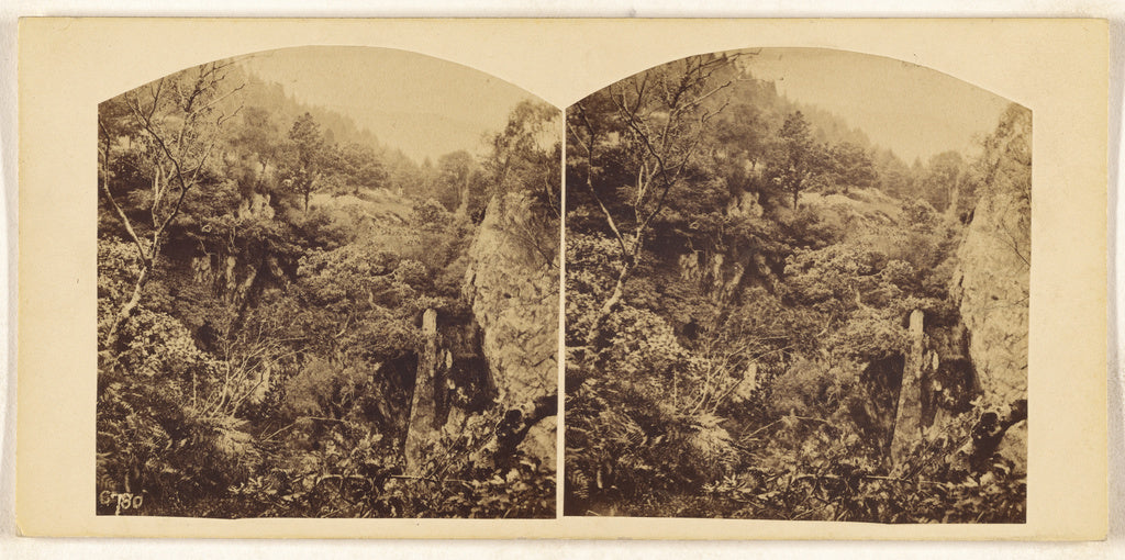 Unknown maker, British:[British forest], Poster Print Wall Art