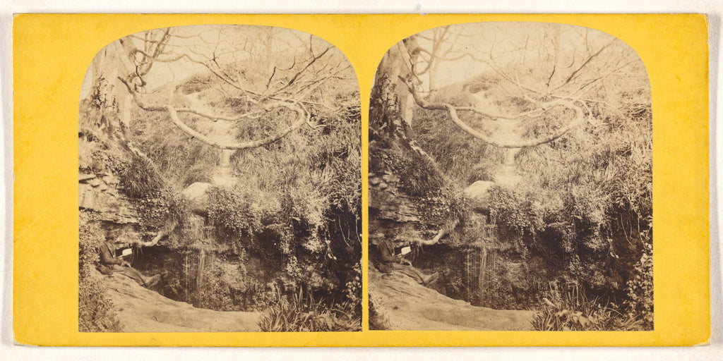 Unknown maker, British:[Forest scene], Poster Print Wall Art