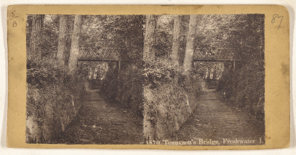 Unknown maker, British:Tennyson's Bridge, Freshwater I., Poster Print Wall Art