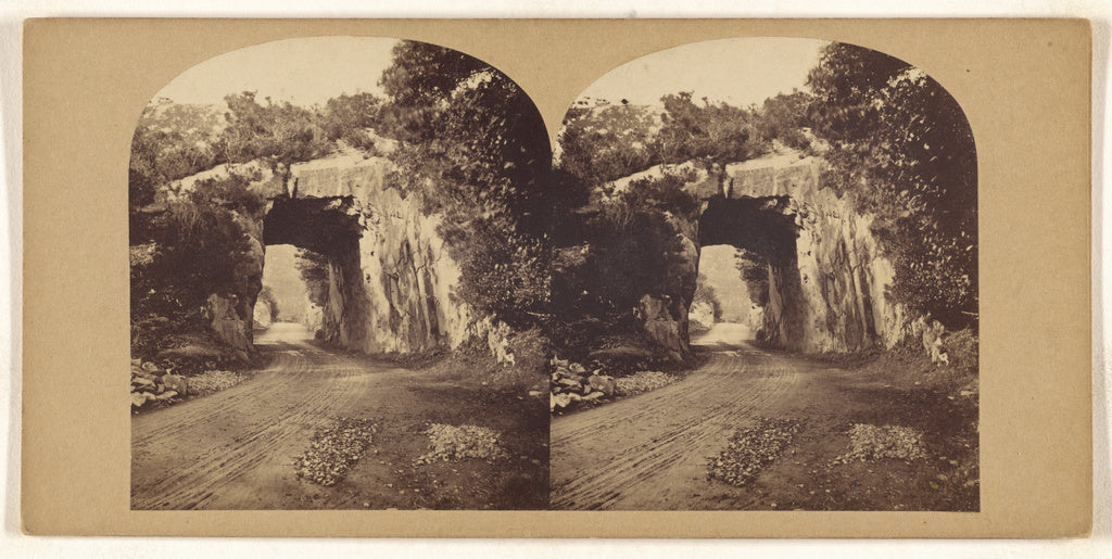 Unknown maker, British:Tunnel on the Kenmare Road, Killarney, Poster Print Wall Art