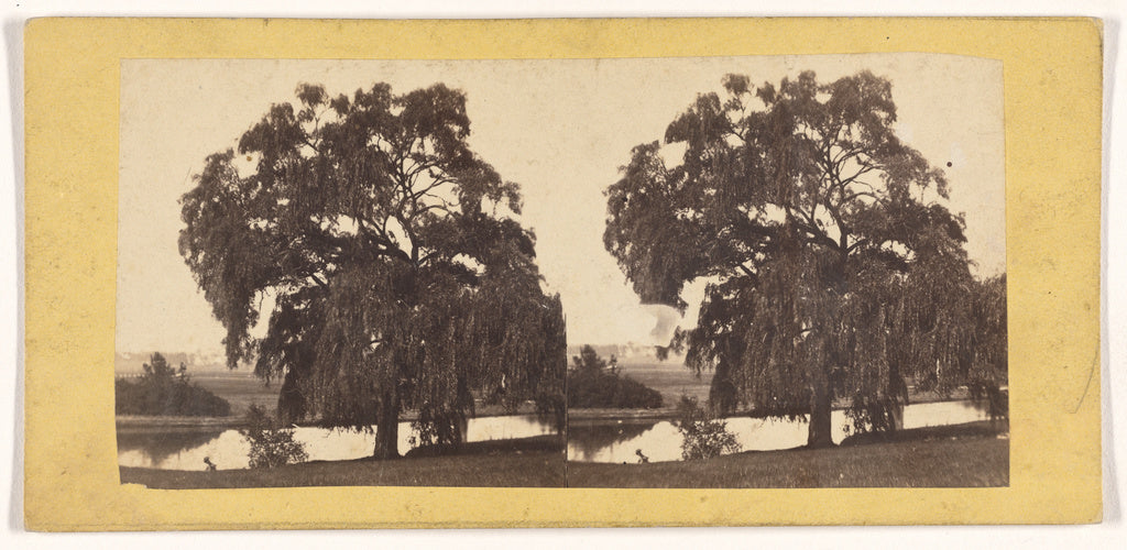 Unknown maker, French:[Tree, France],16x12"(A3)Poster