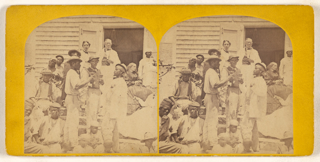 Unknown:[A Morning Star, Estate Group, St. Croix], Poster Print Wall Art