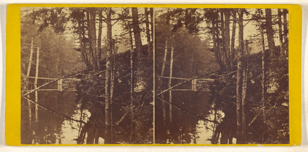 Unknown:[Unidentified flooded forest scene], Poster Print Wall Art
