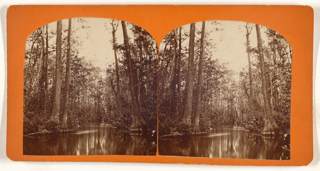 Unknown maker, American:[Cypress Gate on the Ocklawaha R.], Poster Print Wall Art