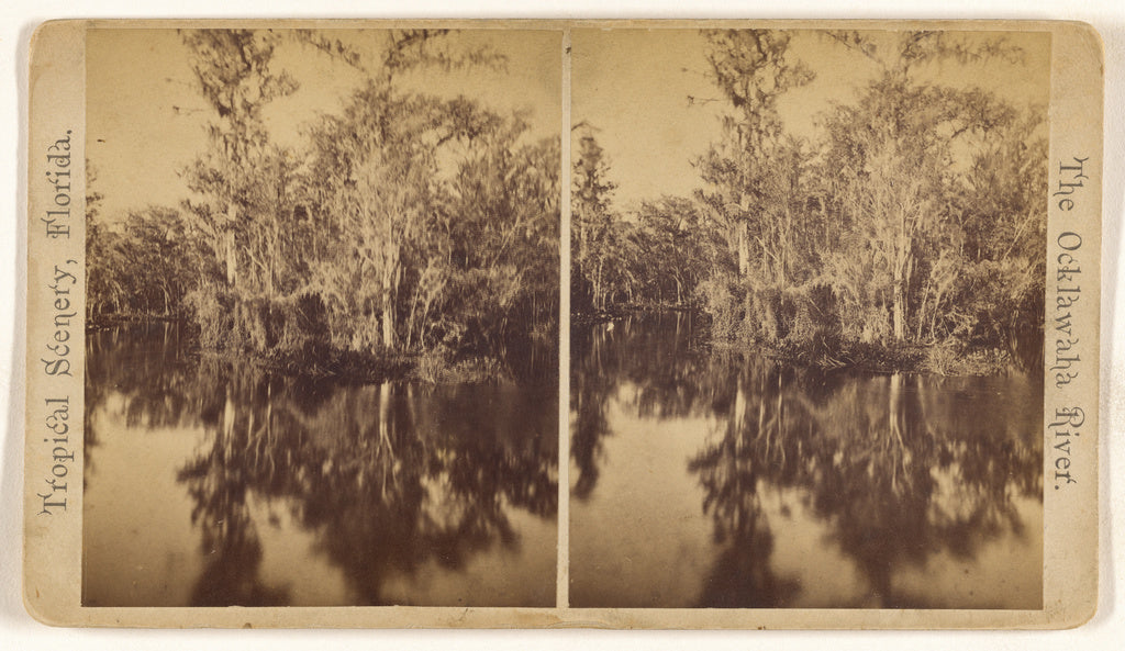 Unknown maker, American:Up and Down the Ocklawaha [Florida], Poster Print Wall Art