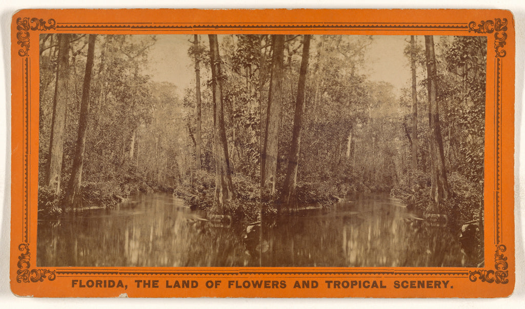 Unknown maker, American:The Great Cypress Pass, Or Gates of , Poster Print Wall Art
