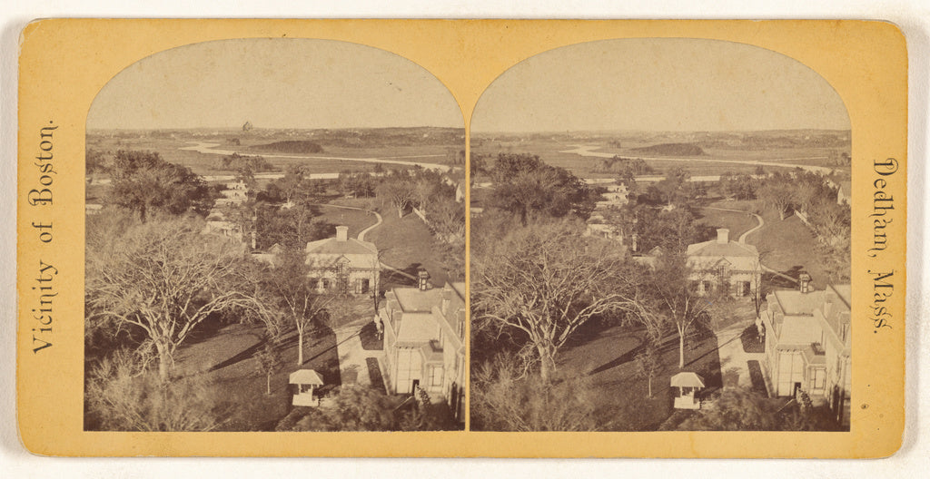 Unknown maker, American:Panorama from Court House looking No, Poster Print Wall Art