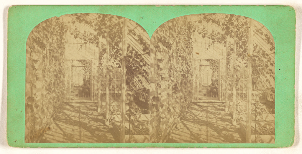 Unknown maker, American:[Grapery at Stockbridge, Mass.], Poster Print Wall Art