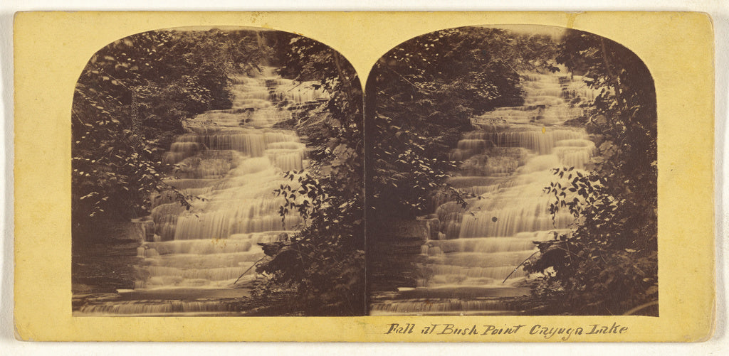 Unknown maker, American:[Fall at Bush Point, Cayuga lake], Poster Print Wall Art