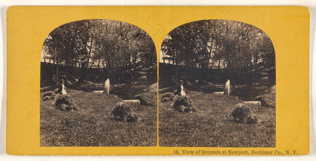 Unknown maker, American:View of Grounds at Newport, Herkimer, Poster Print Wall Art