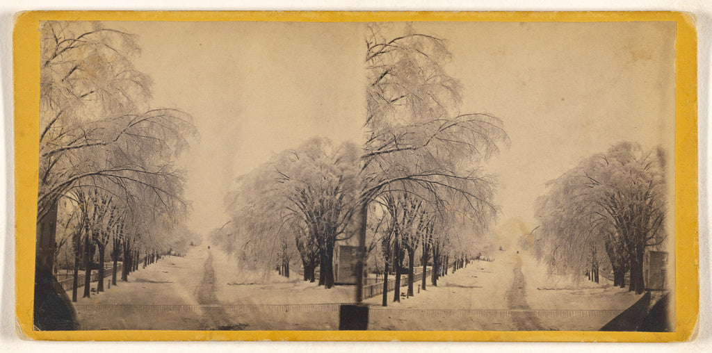 Unknown maker, American:[Elm Street, Winter, Potsdam, N.Y.], Poster Print Wall Art