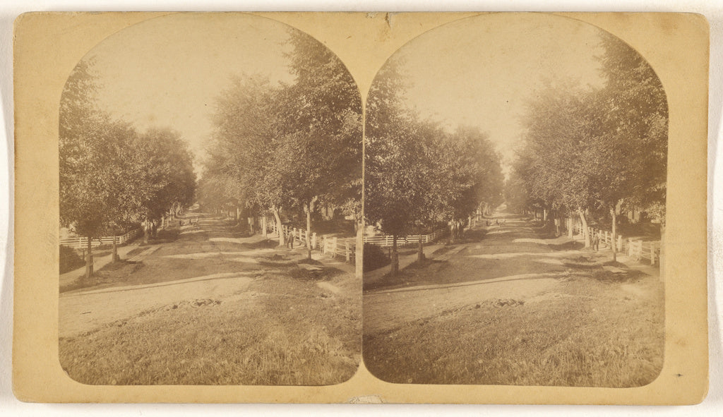 Unknown maker, American:[Maple Street. Stowe, Pennsylvania], Poster Print Wall Art