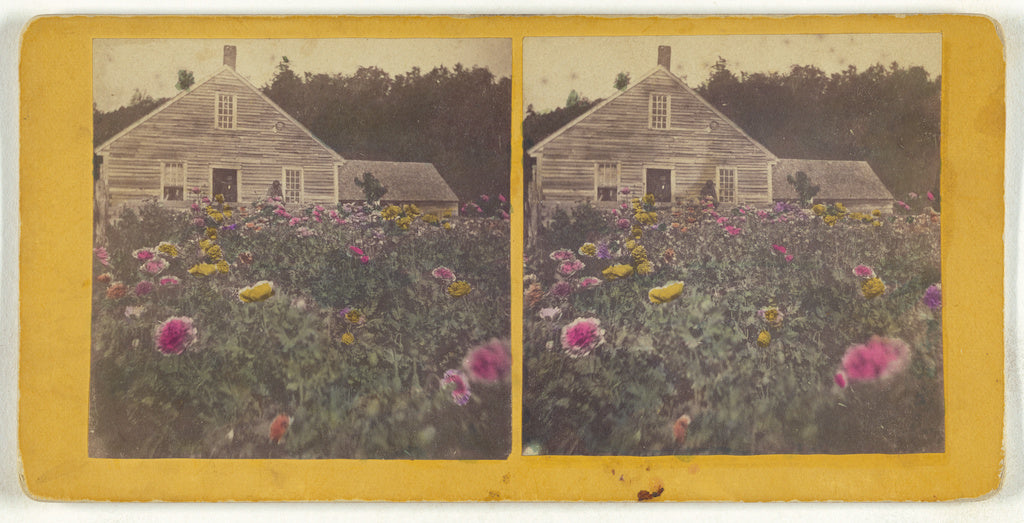 Unknown maker, American:[Poppy field Cabbot Vt.], Poster Print Wall Art