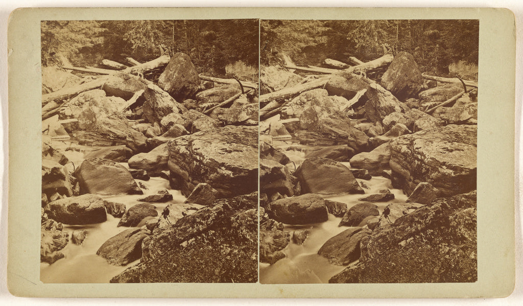 Unknown maker, American:[Black Water, West Va.], Poster Print Wall Art