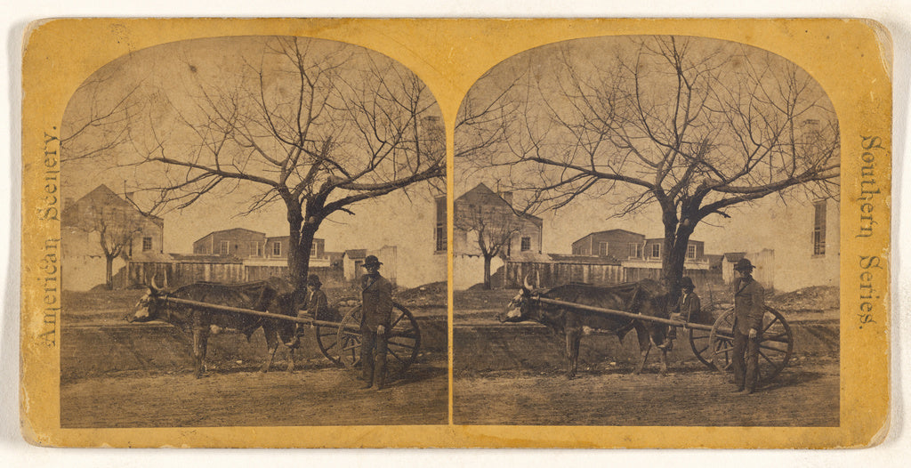 Unknown maker, American:Tallahassee. Steer and Cart. [Florid, Poster Print Wall Art