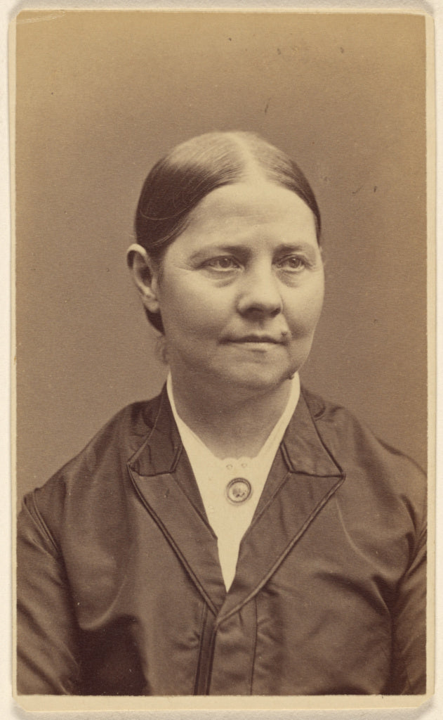 Sumner B. Heald:[Lucy Stone], Poster Print Wall Art