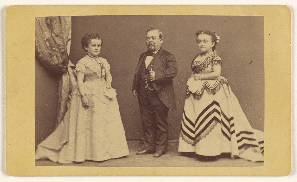Edward and Henry T. Anthony & Co.:[Charles S. Stratton, Lavi, Poster Print Wall Art
