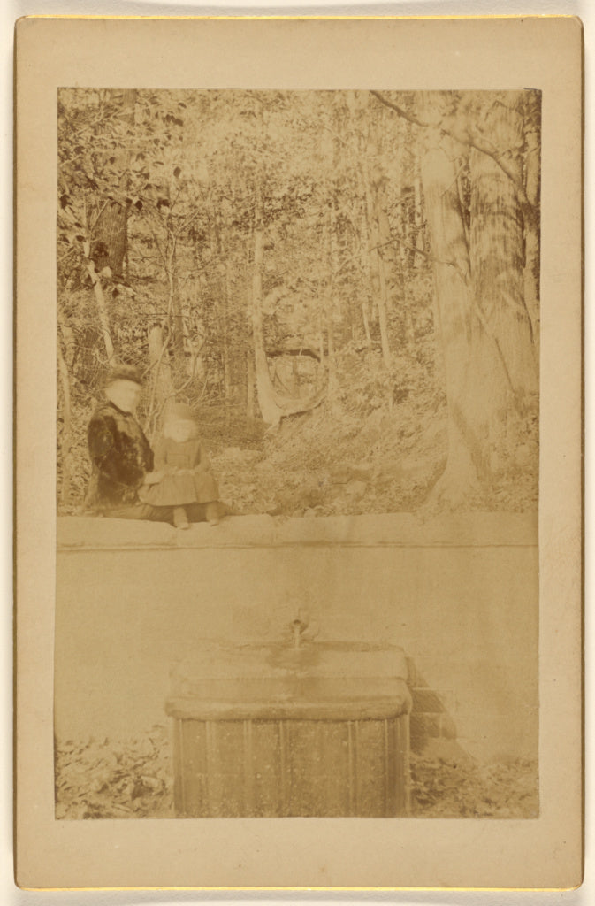 Unknown maker, American:Silverspring. Watering Trough., Poster Print Wall Art