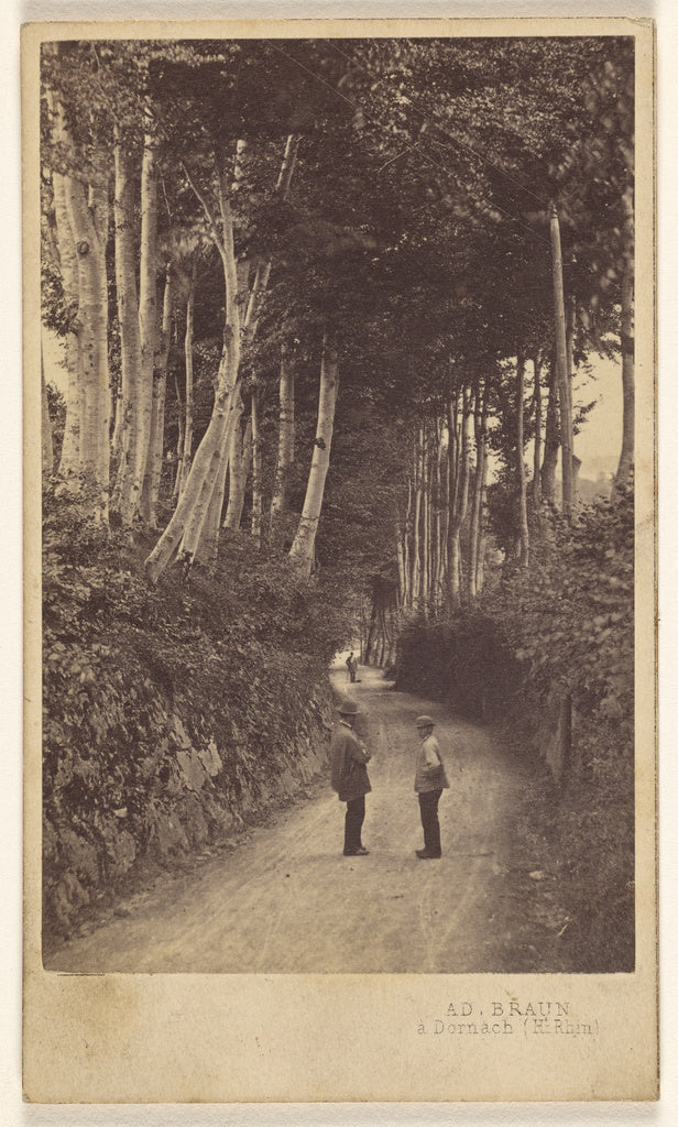 Adolphe Braun:[Men standing in tree-lined country lane], Poster Print Wall Art