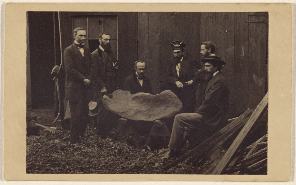 Unknown:[Six men viewing a mastodon bone], Poster Print Wall Art