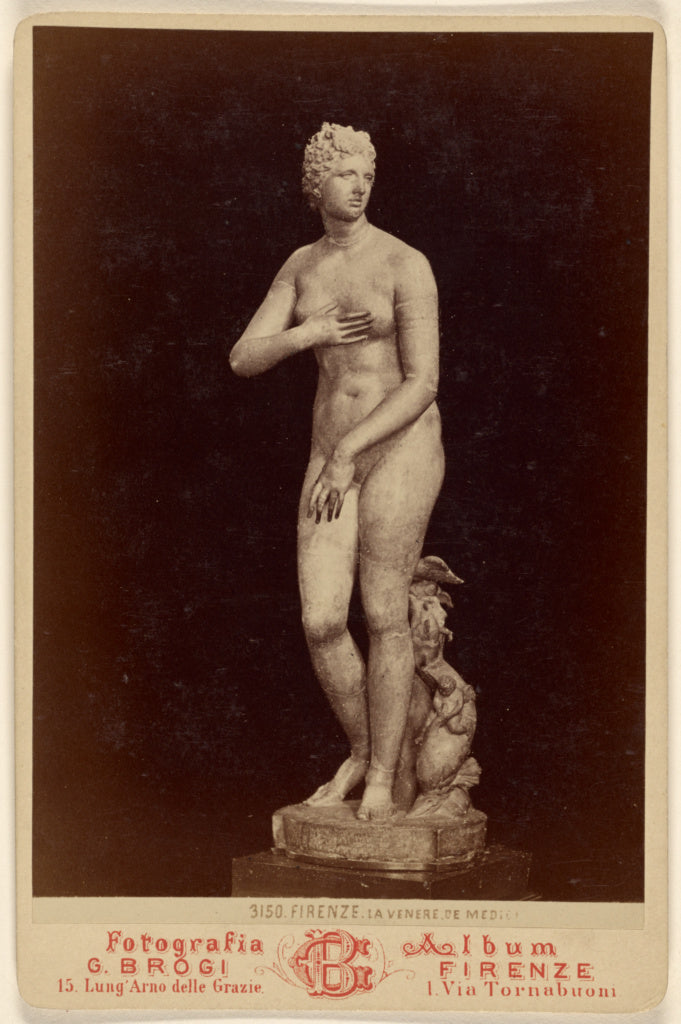 Giacomo Brogi:Firenze. La Venere de Medici., Poster Print Wall Art