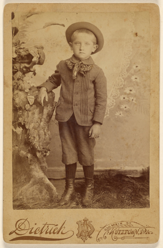 W.A. Dietrich:Freddie Henry Sechler. 6 years old., Poster Print Wall Art