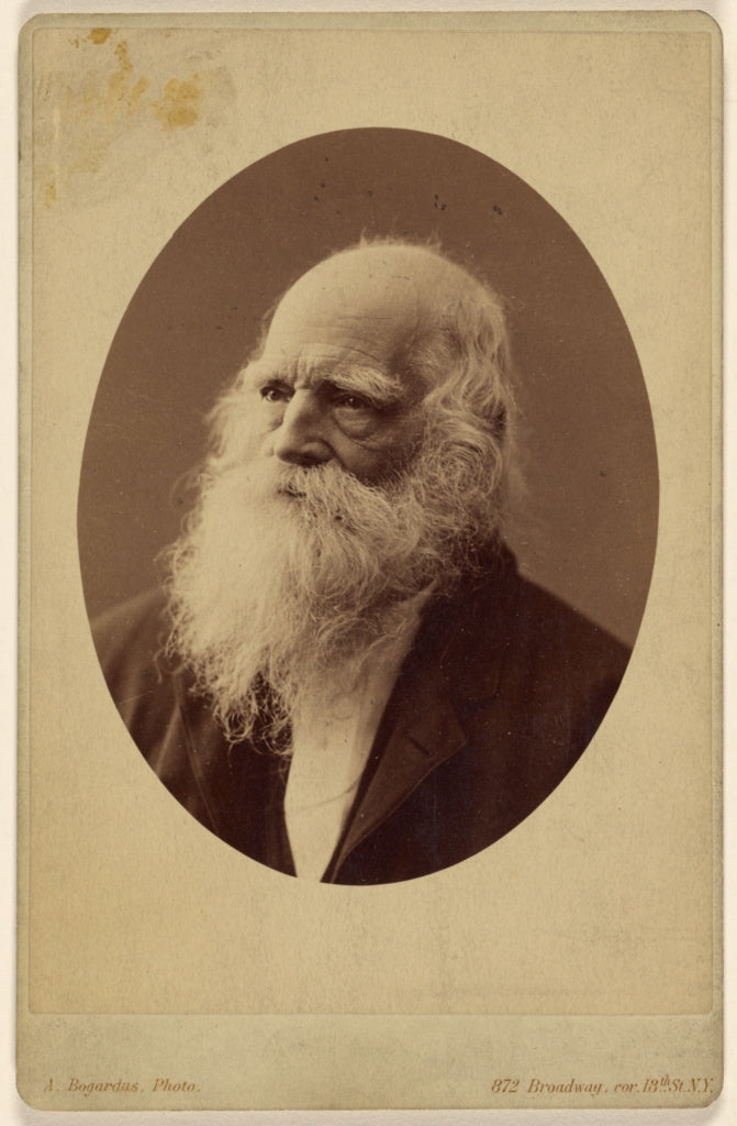 Abraham Bogardus:William Cullen Bryant, Poster Print Wall Art
