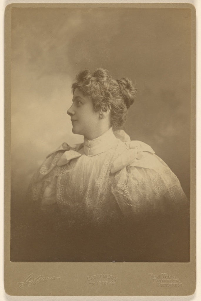 Edward C. Dana:[Portrait of a woman in profile], Poster Print Wall Art