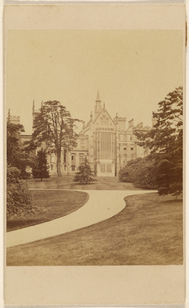 Unknown maker, British:Alton - N.E. View of the Towers, Poster Print Wall Art