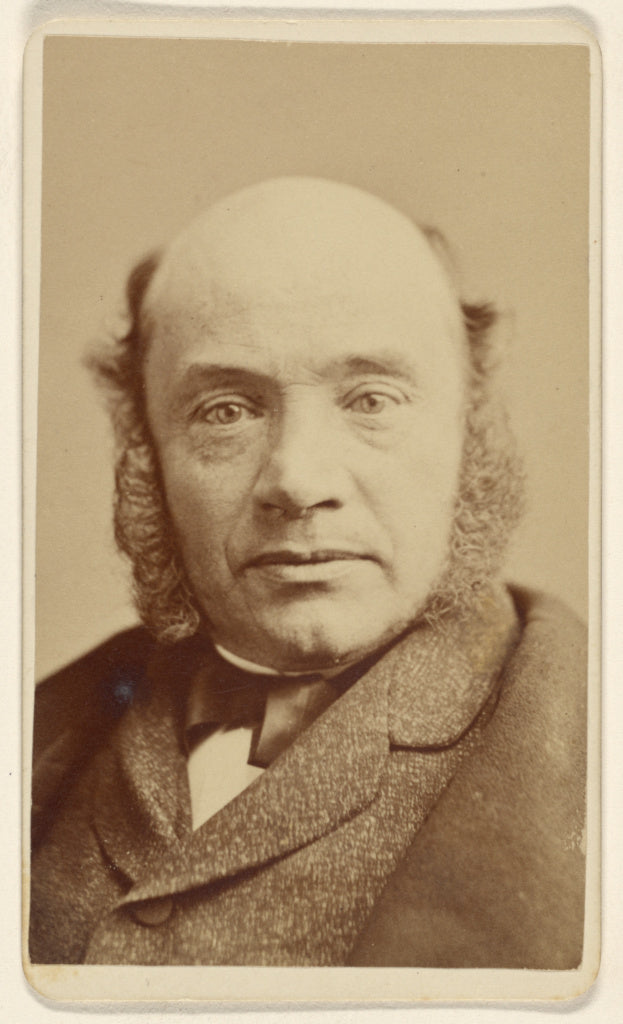 Sarony & Co.:[Francois Regis] Gignoux (1816 - 1882), Poster Print Wall Art