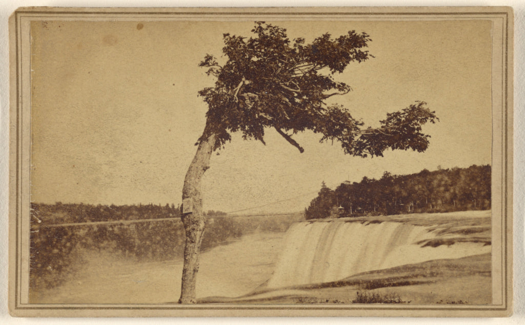 Samuel J. Mason:American Falls, from Luna Island, Poster Print Wall Art
