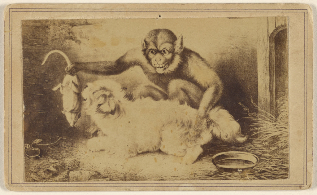 Unknown:[Copy of a painting depicting a monkey holding a rat, Poster Print Wall Art