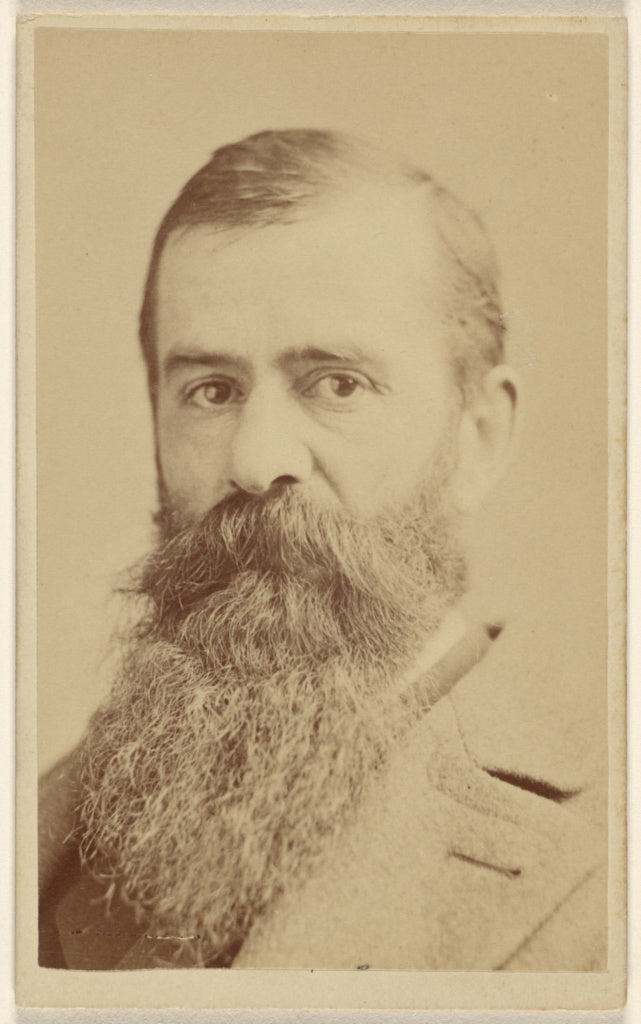 Sarony & Co.:[Jervis] McEntee, Poster Print Wall Art