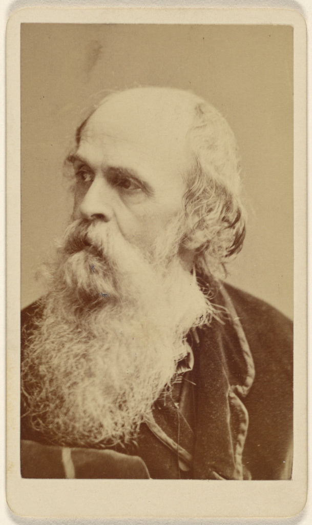 Sarony & Co.:[Mr.] Thompson, Poster Print Wall Art