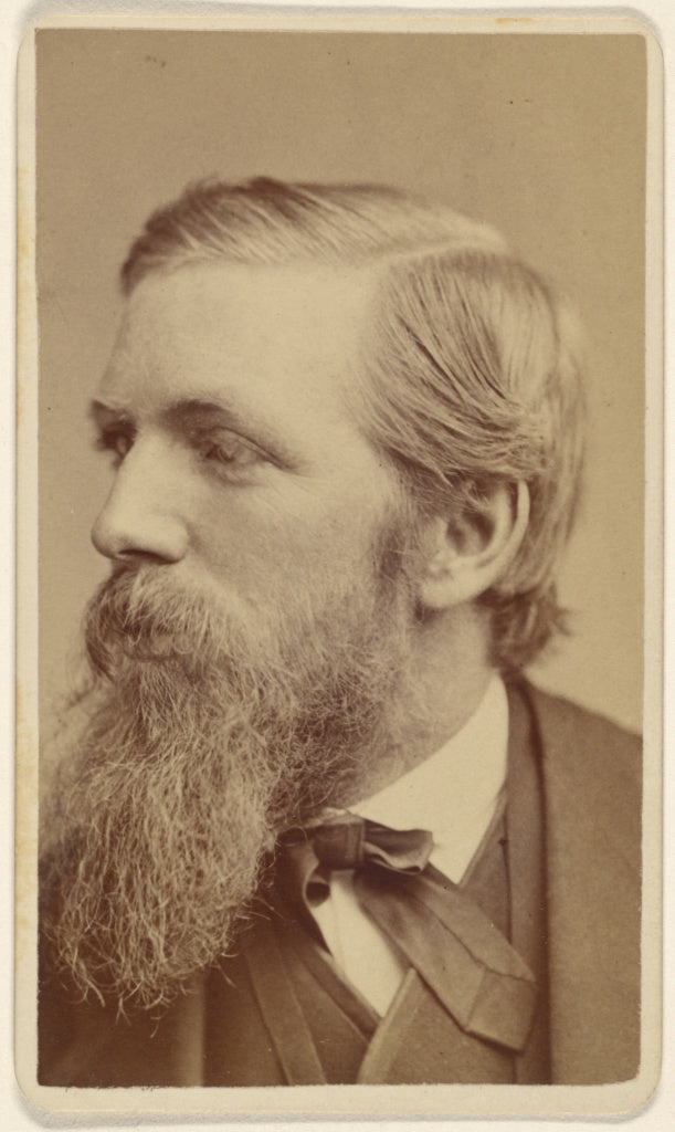 Sarony & Co.:[Robert Swain] Gifford, Poster Print Wall Art