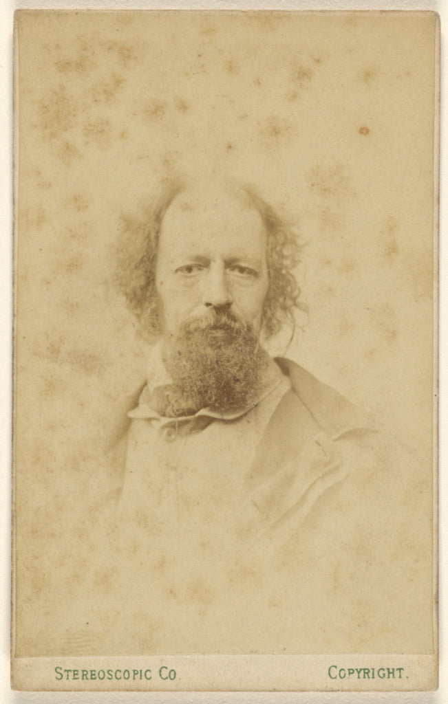 London Stereoscopic and Photographic Company:[Alfred] Tennys, Poster Print Wall Art