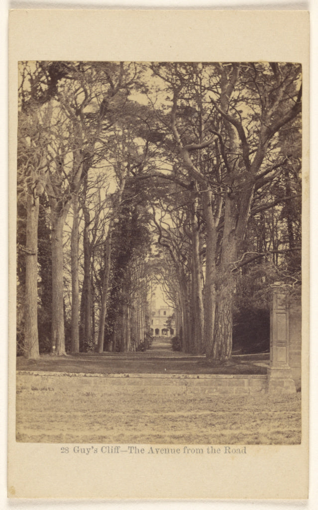 Francis Bedford:Guy's Cliff - The Avenue from the Road., Poster Print Wall Art