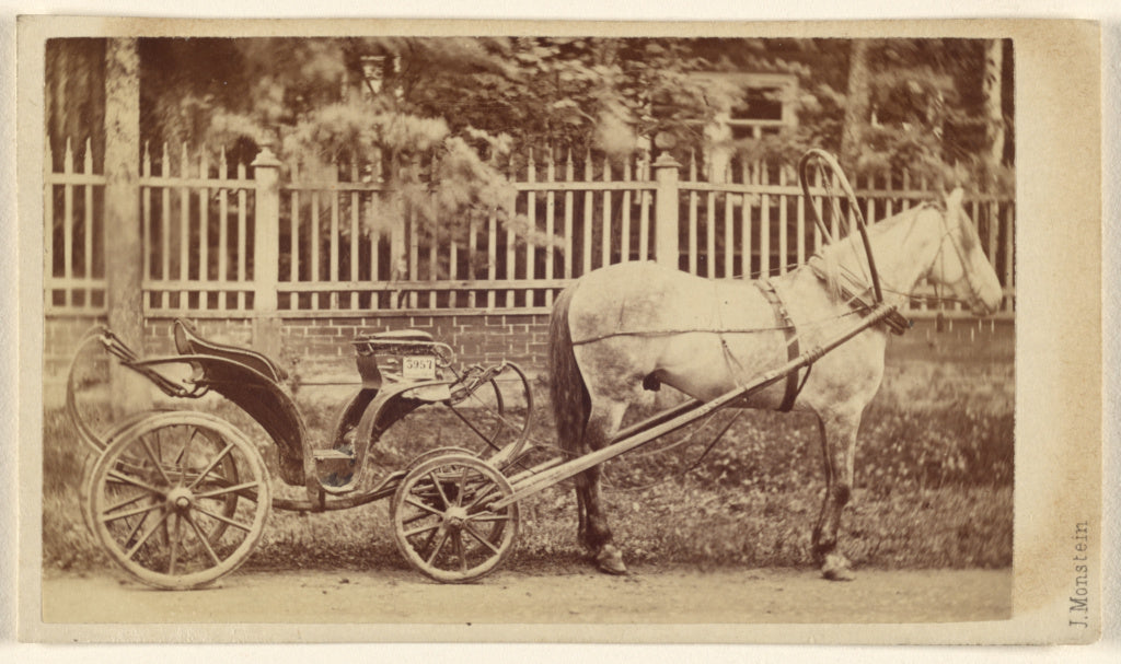 J. Monstein:[Small carriage with horse], Poster Print Wall Art