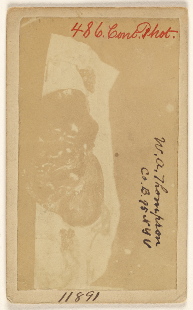 Reed Brockway Bontecau:W[illiam] A. Thompson Co. B. 95 NYV. , Poster Print Wall Art