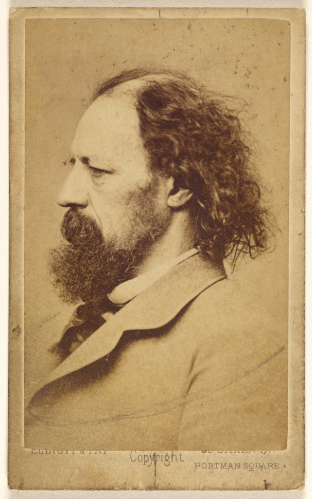 Elliott & Fry:[Alfred] Tennyson (1809 - 1892), Poster Print Wall Art
