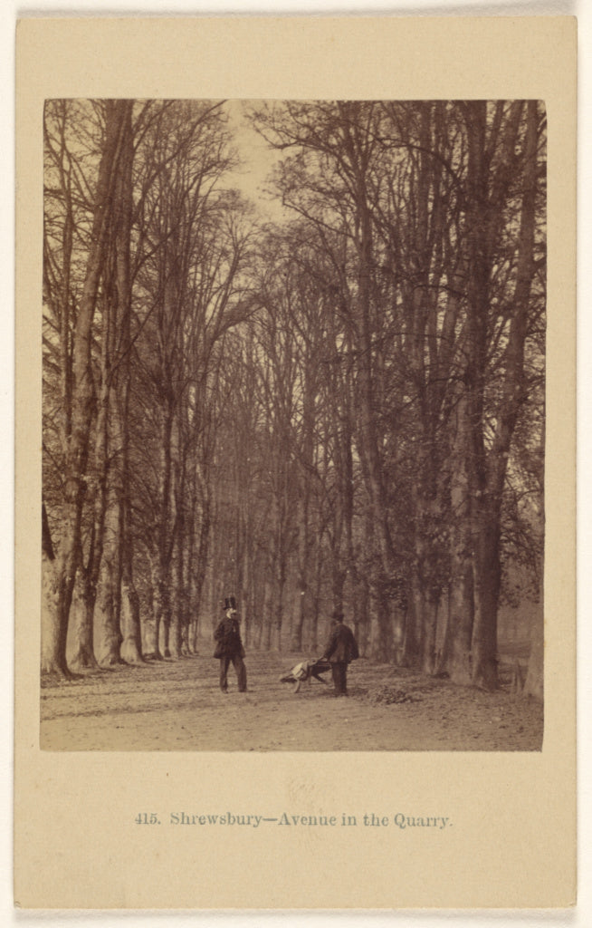 Francis Bedford:Shrewsbury - Avenue in the Quarry., Poster Print Wall Art