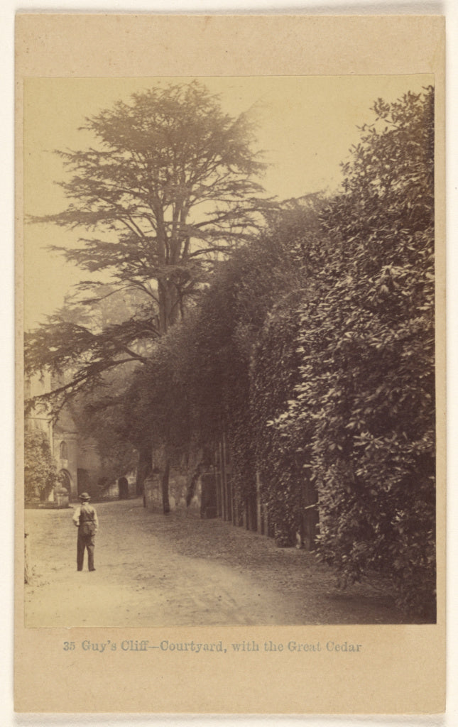 Francis Bedford:Guy's Cliff - Courtyard, with the Great Ceda, Poster Print Wall Art