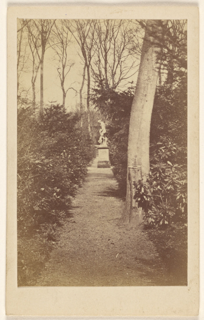 A.W. & H. Cox:Newstead Abbey. Long walk., Poster Print Wall Art