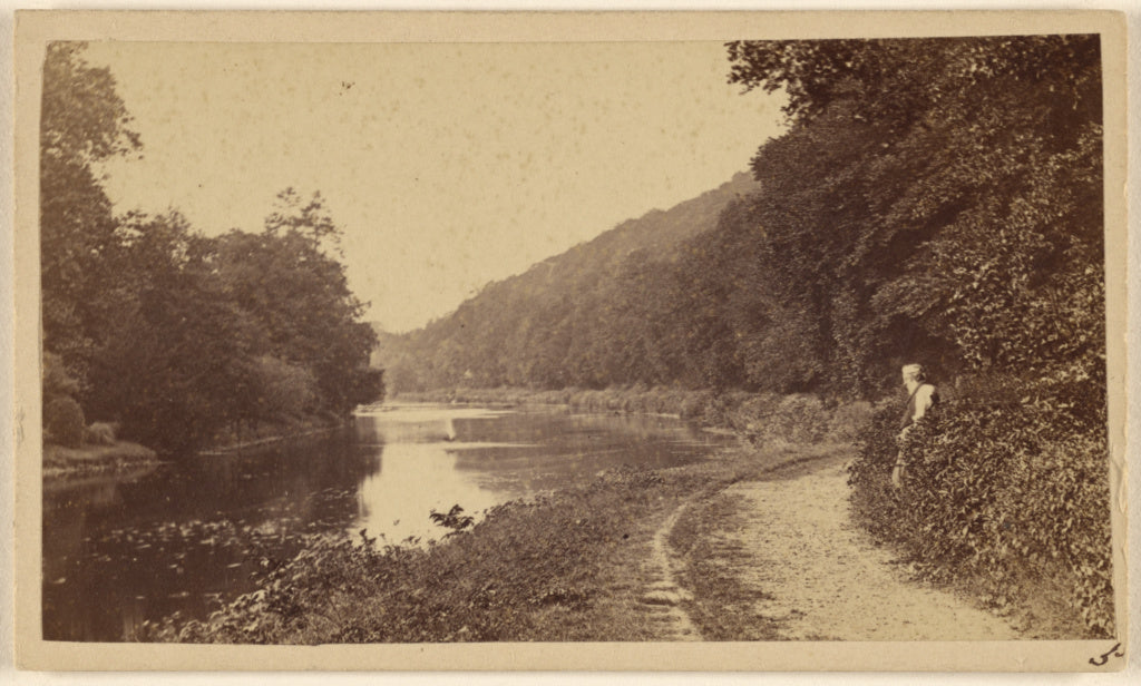 Henry W. Taunt:[Cliveden Wood, on The Thames], Poster Print Wall Art