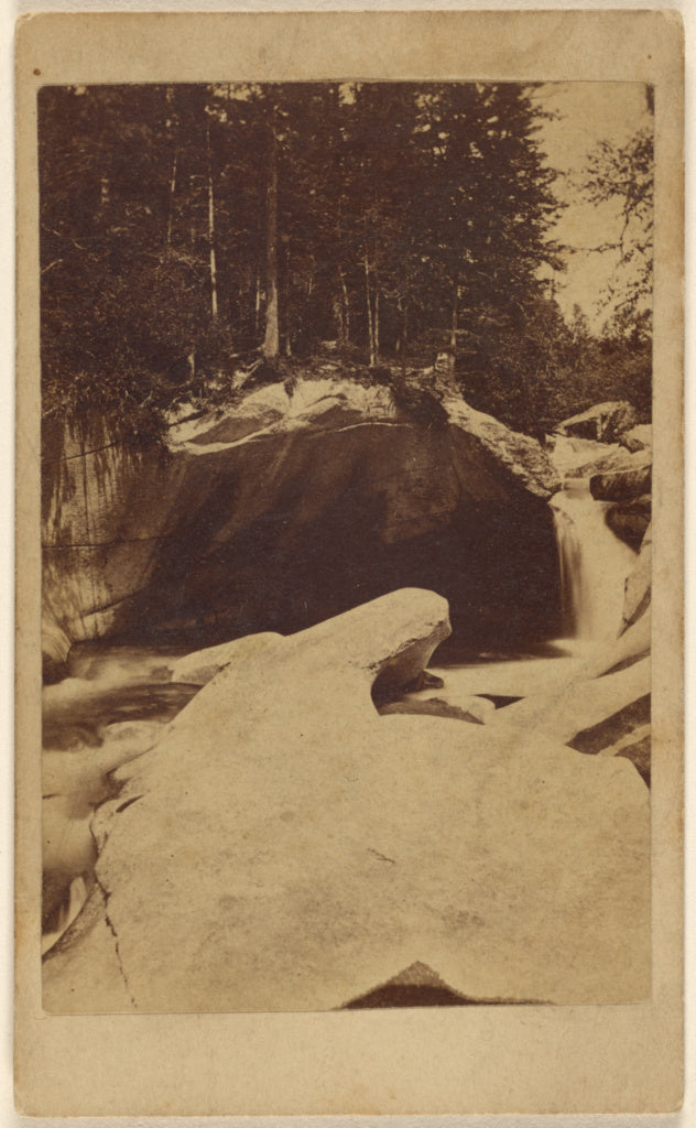 Unknown:[Unidentified forest view with rocks and cavern], Poster Print Wall Art