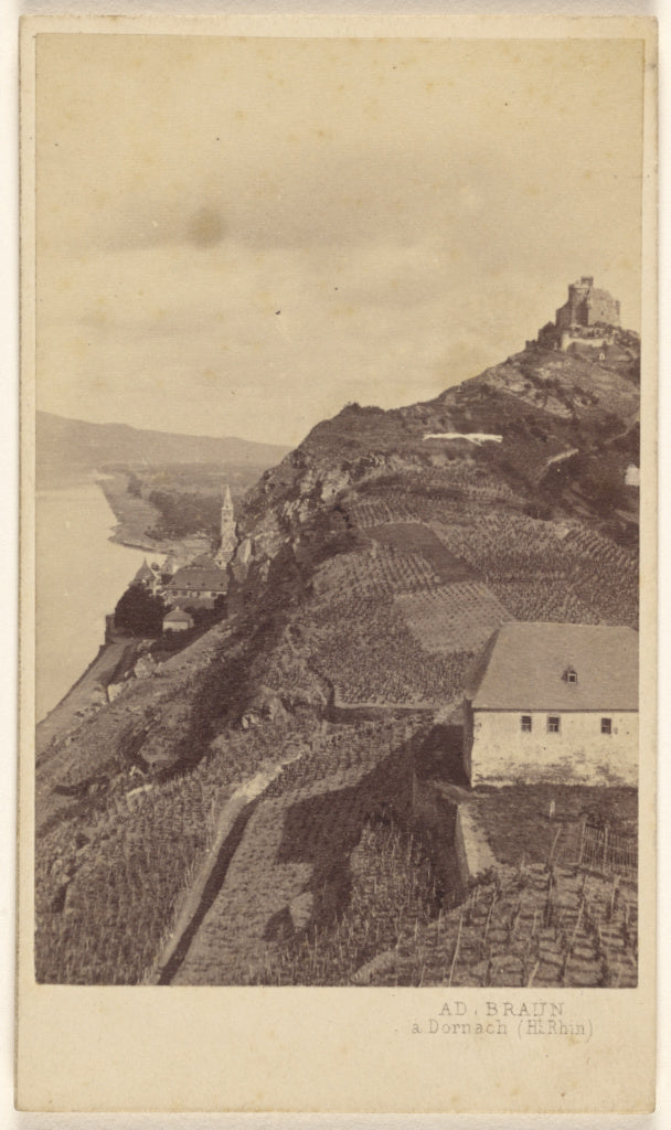 Adolphe Braun:Braubach., Poster Print Wall Art