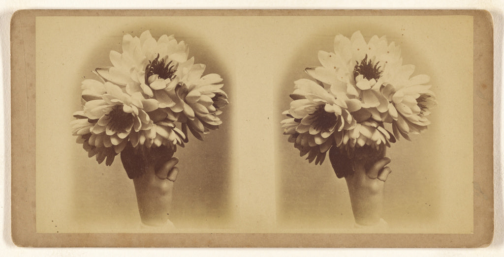 Unknown maker, American:[Bouquet of unidentified flowers], Poster Print Wall Art